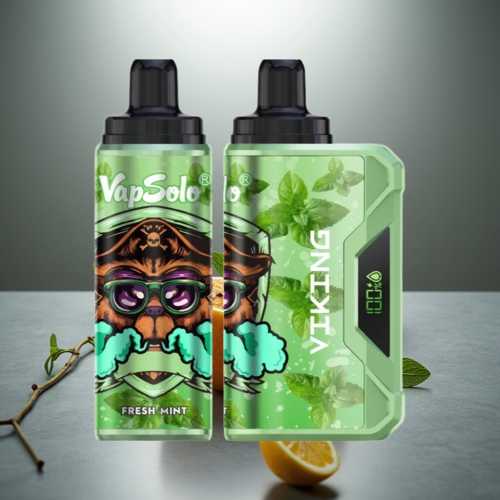 VapSolo VIKING 12000 Puffs 22ml Čerstvá Máta Typ-C LED